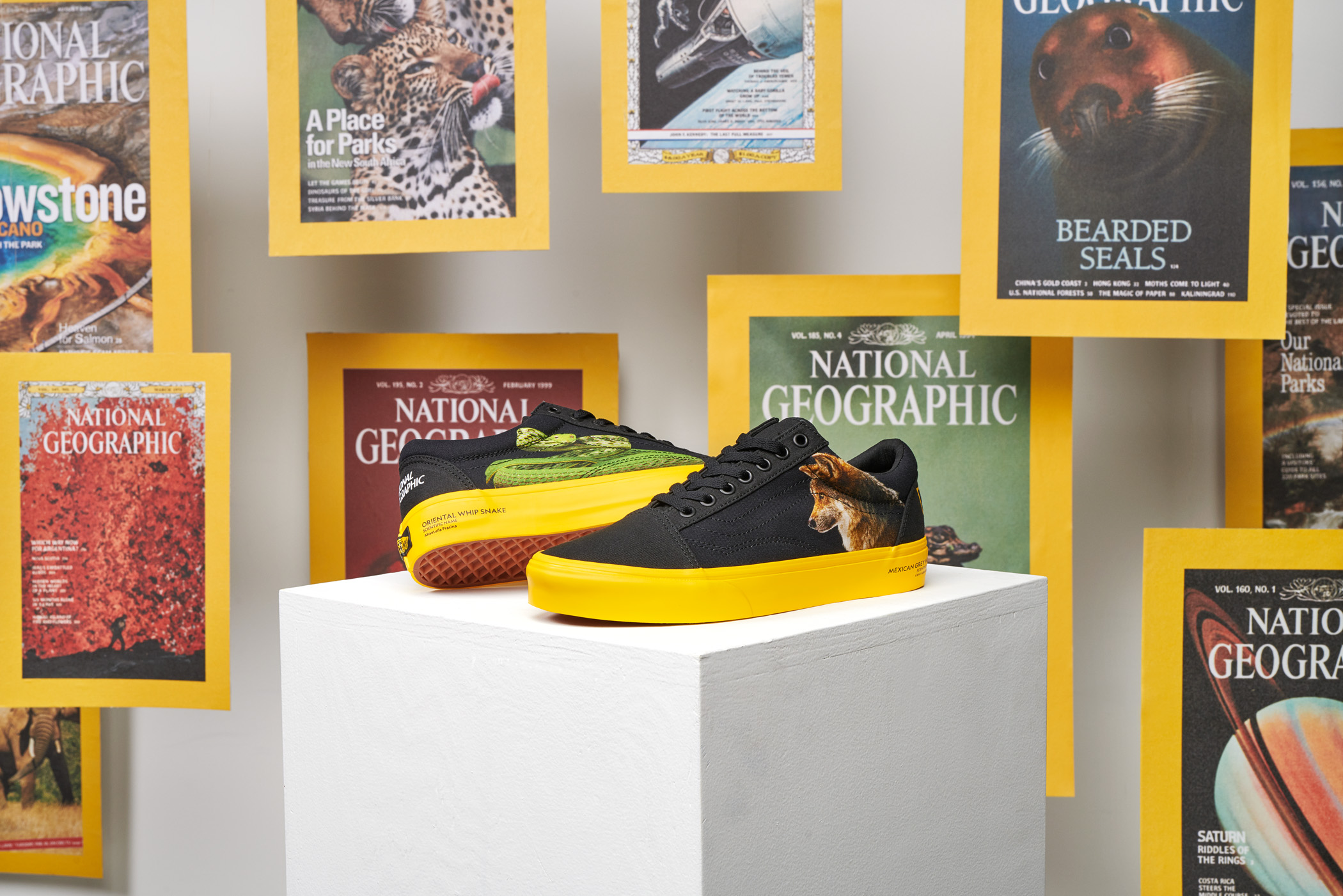 Vans x National Geographic