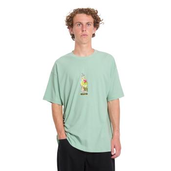 ACID FROG
