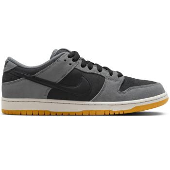 SB DUNK LOW PRO